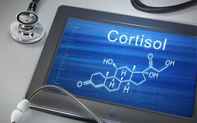 EL CORTISOL Y SU IMPACTO EN LA SALUD