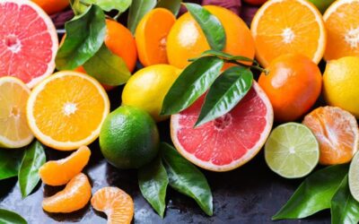 8 ALIMENTOS PARA MANTENER ACTIVO EL SISTEMA INMUNITARIO
